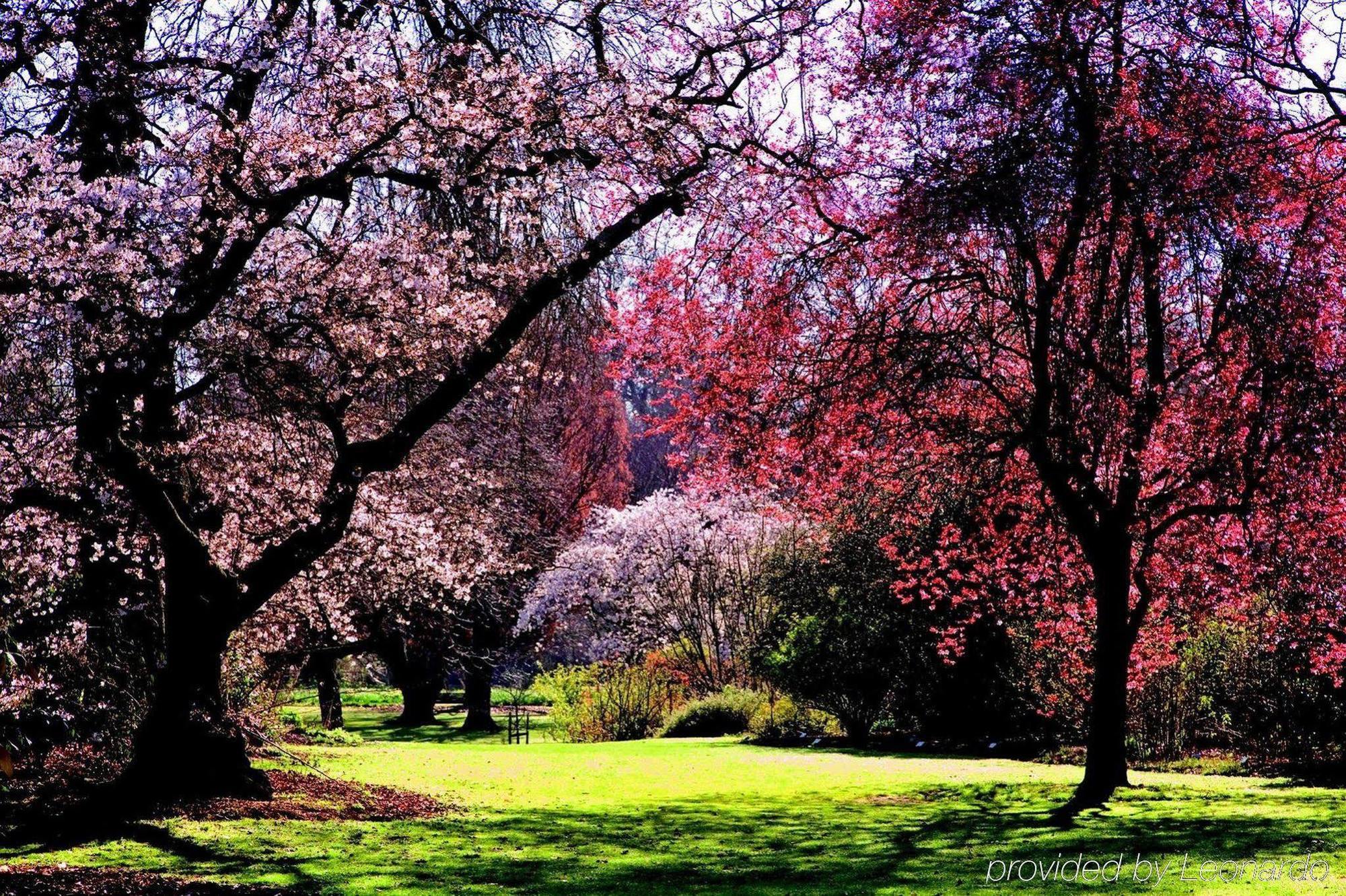 Parkview On Hagley Otel Christchurch Dış mekan fotoğraf