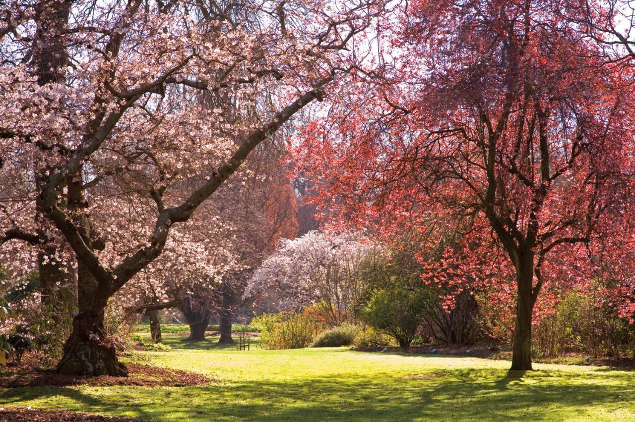 Parkview On Hagley Otel Christchurch Dış mekan fotoğraf